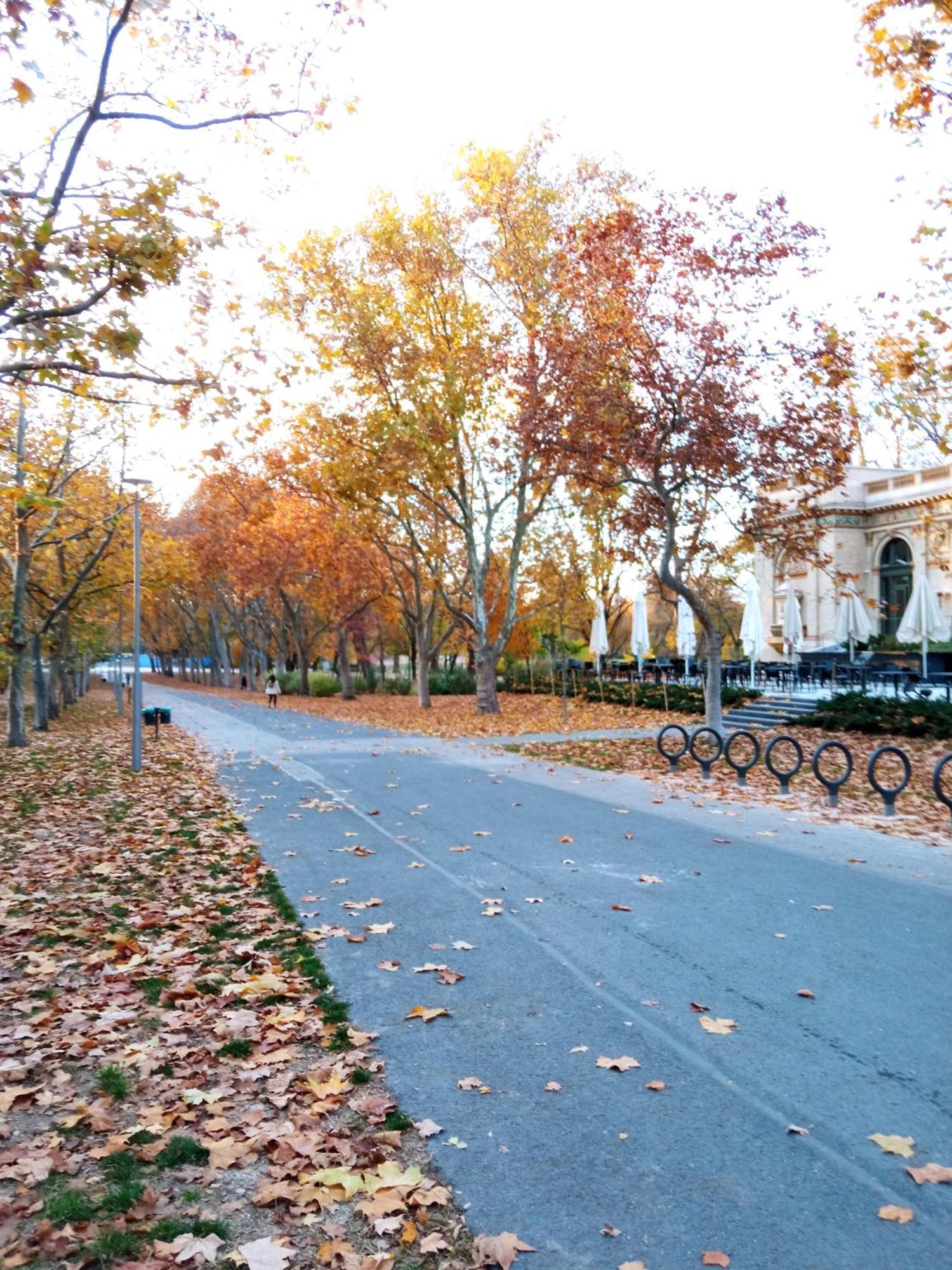 Free Parking Garage! Downtown Apartment Close To New York Cafe Будапеща Екстериор снимка